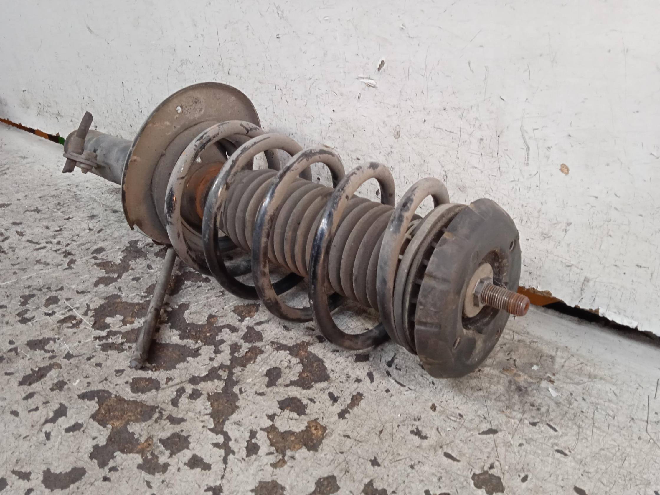 Ammortizzatore ant. sx.